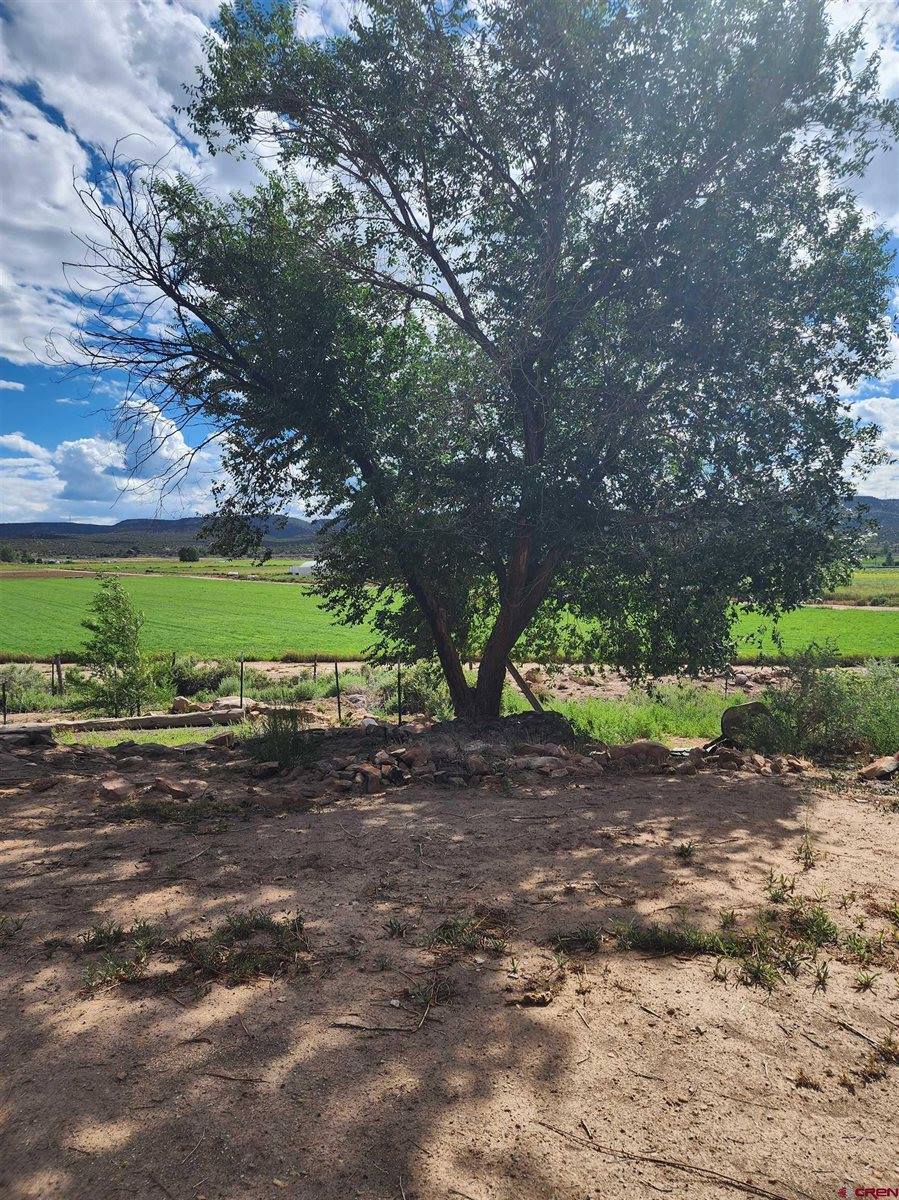 15869 Shavano Valley Road, Montrose, CO 81403