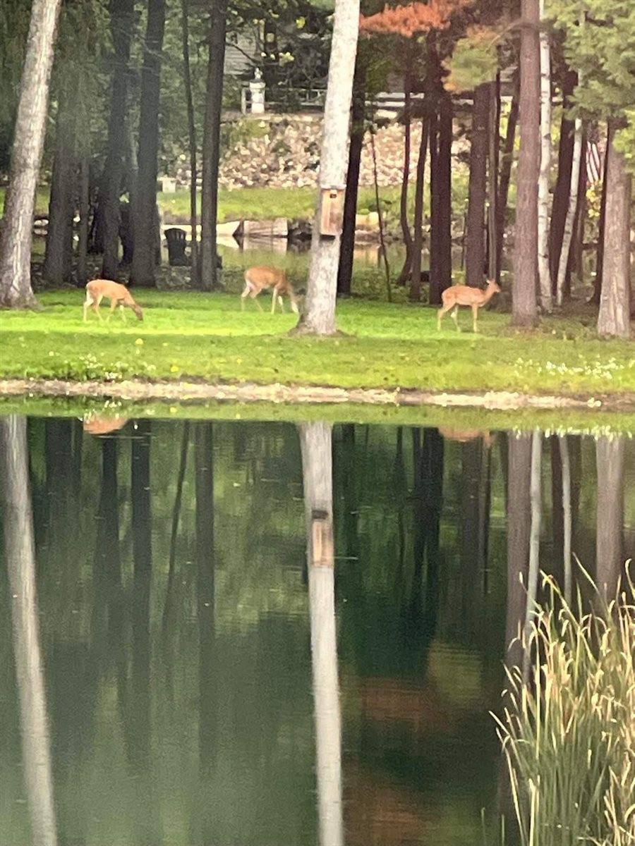 9558 Gray Lake Road, Gillett, WI 54124