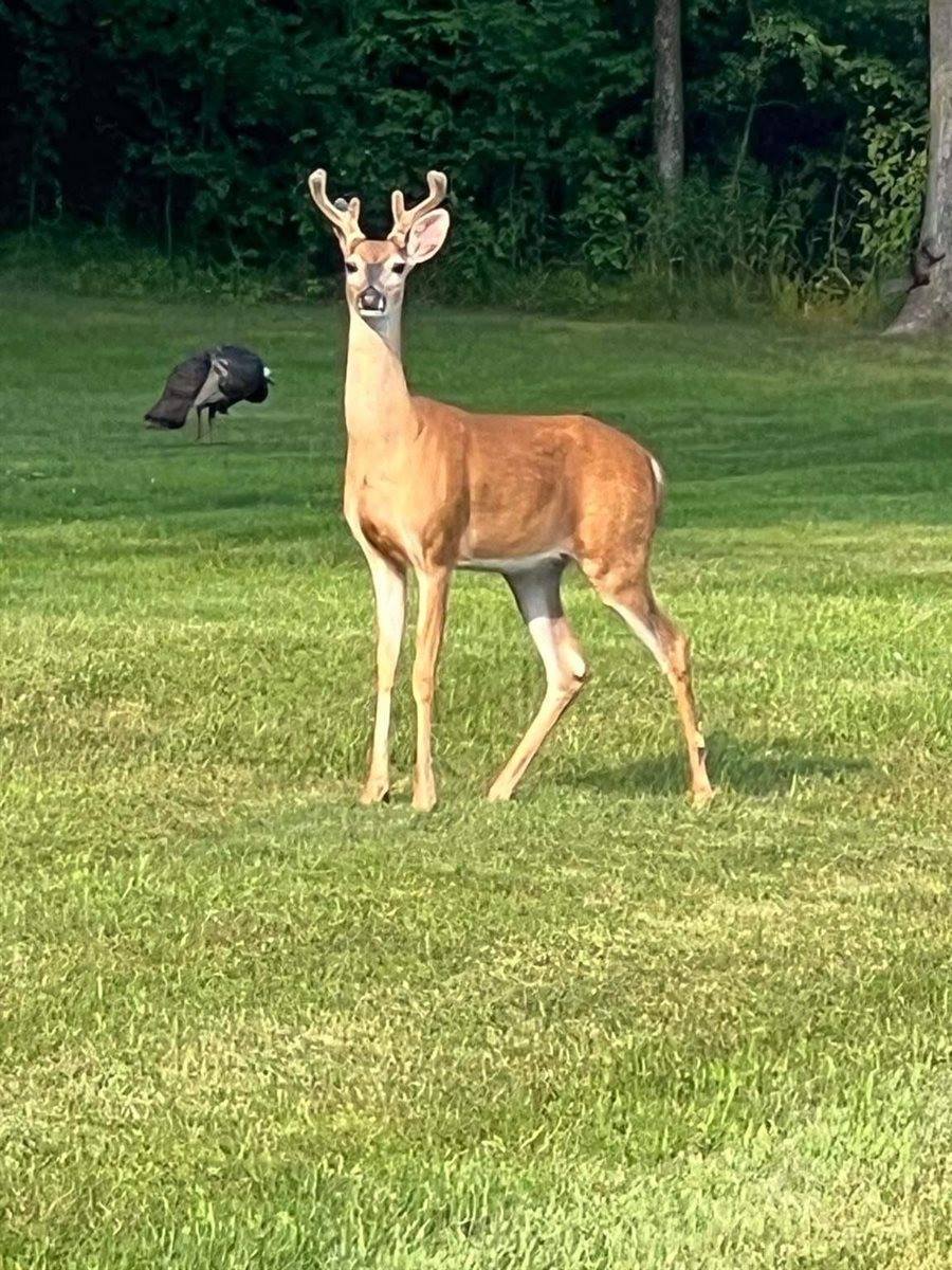 9558 Gray Lake Road, Gillett, WI 54124