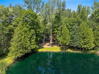 9558 Gray Lake Road, Gillett, WI 54124