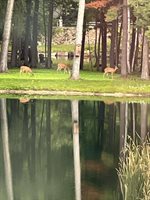 9558 Gray Lake Road, Gillett, WI 54124