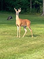 9558 Gray Lake Road, Gillett, WI 54124