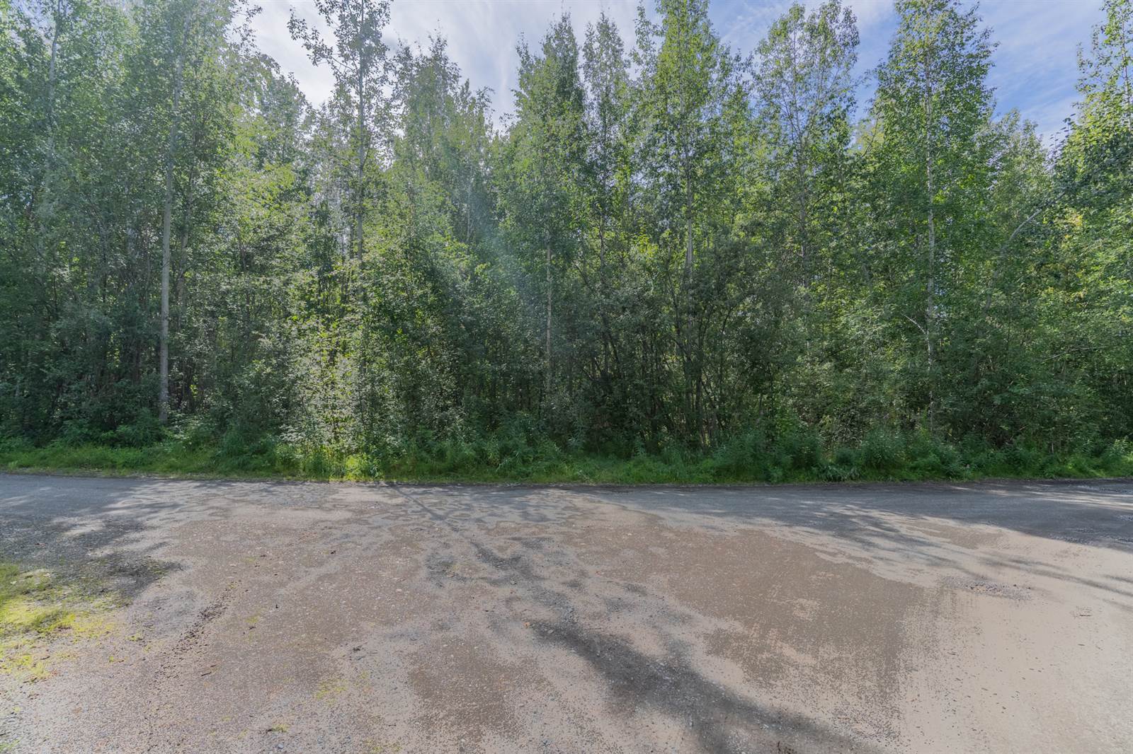 NHN Sirlin Dr, North Pole, AK 99705