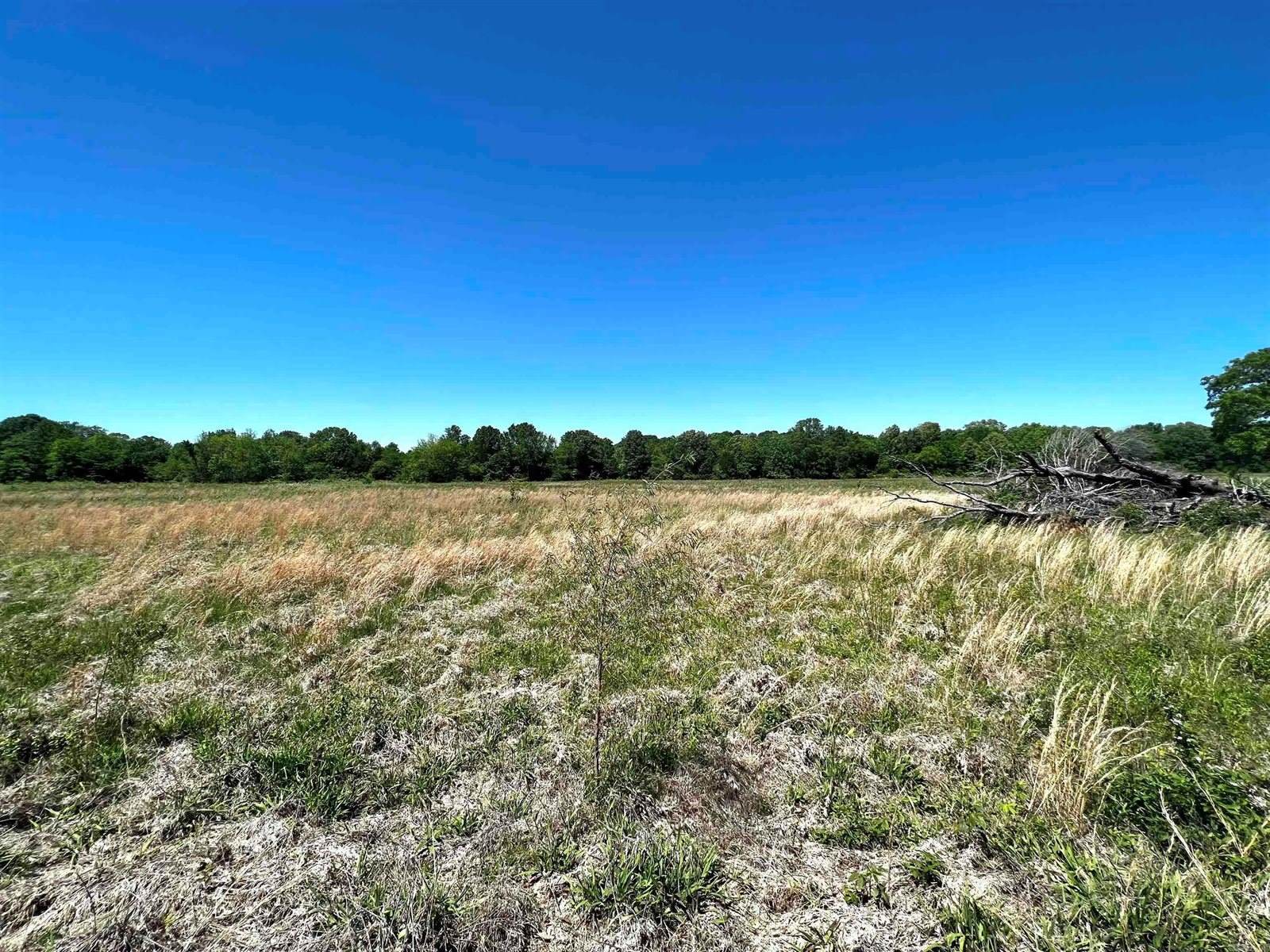 Lot 19 Martha's Field, Greenbrier, AR 72058