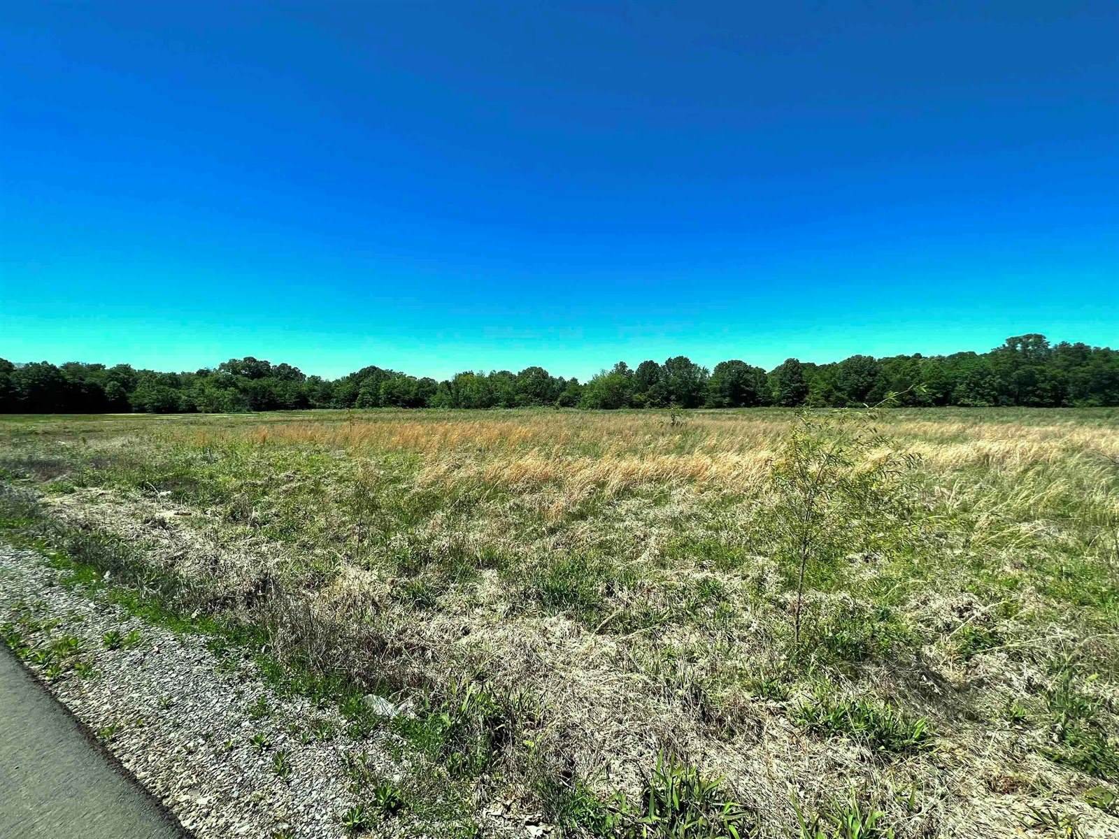 Lot 19 Martha's Field, Greenbrier, AR 72058