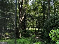 3800 Green Ridge Court, Fairfax, VA 22033