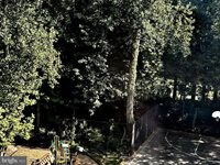 3800 Green Ridge Court, Fairfax, VA 22033