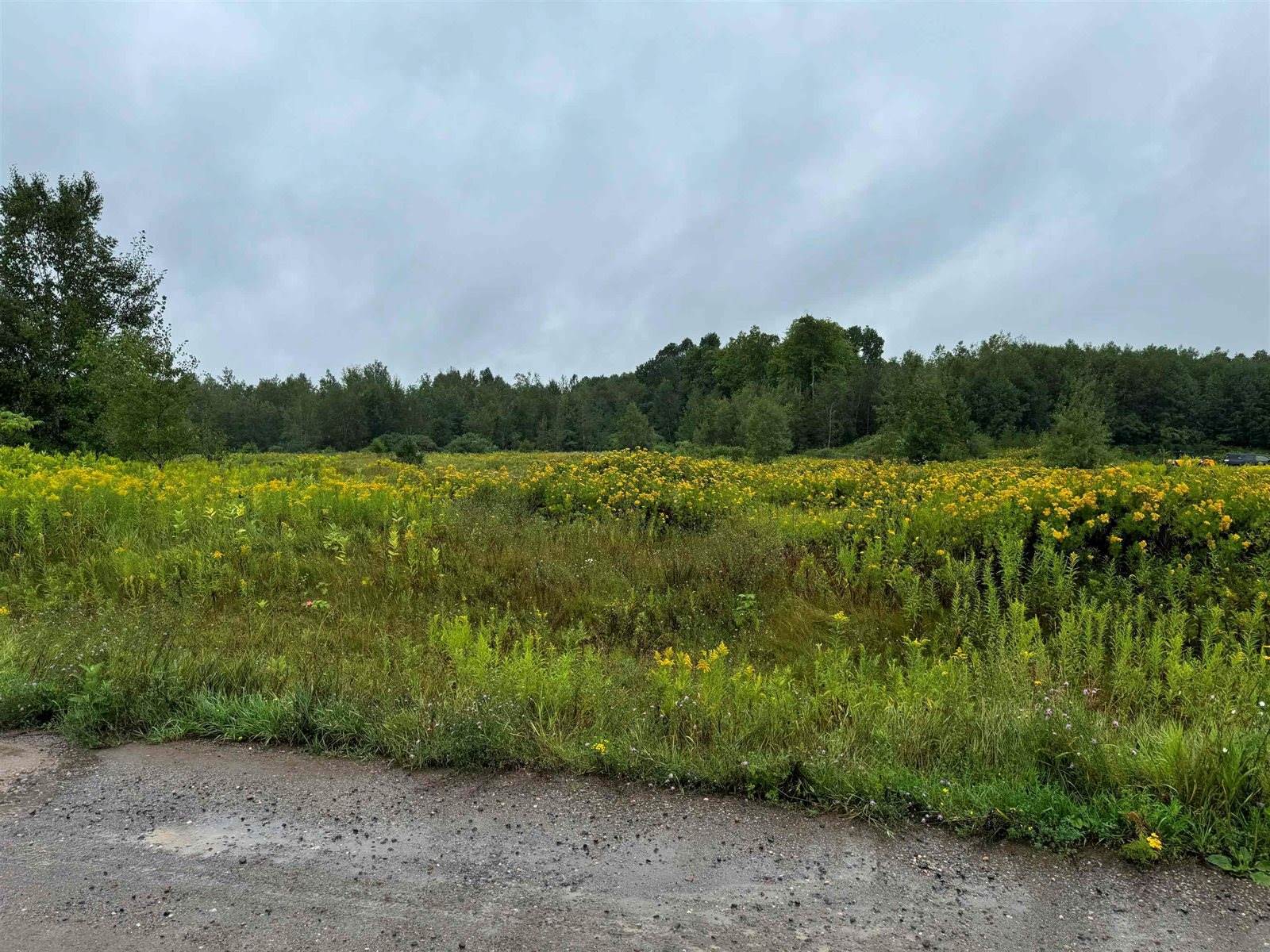 Lot 9 TAYLOR DRIVE, Rhinelander, WI 54501