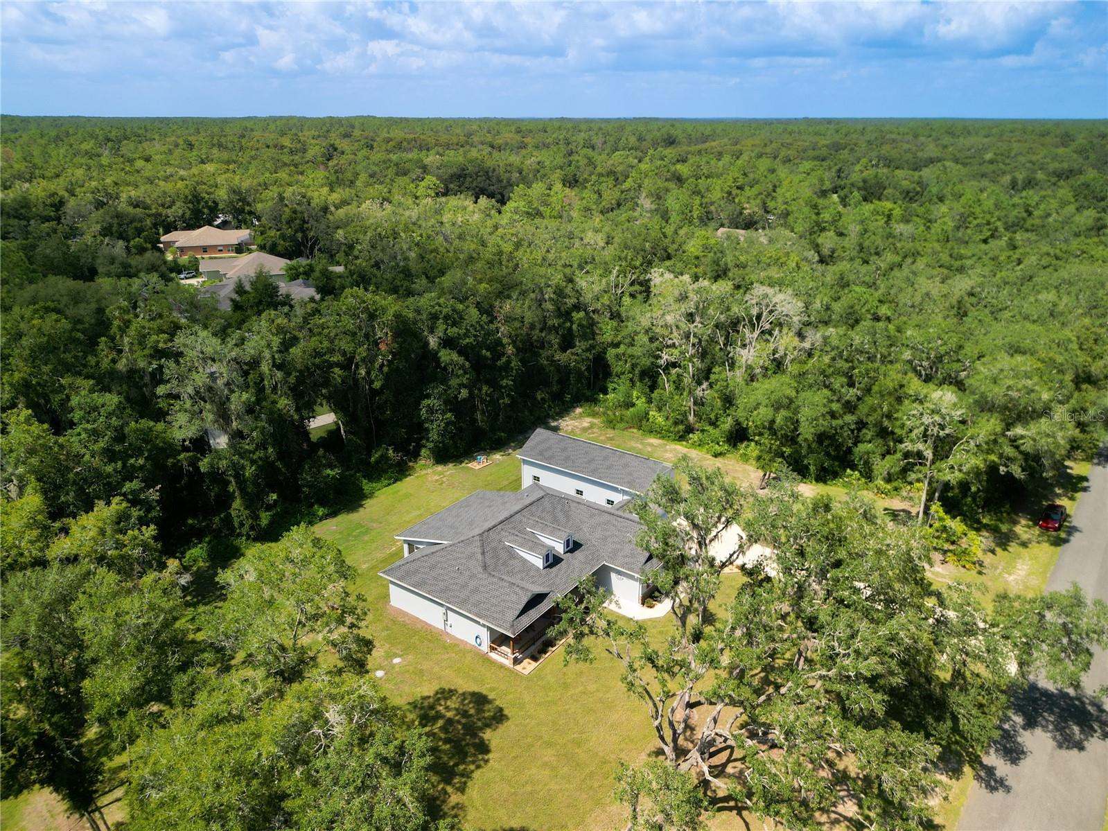 10127 North Natchez Loop, Dunnellon, FL 34434