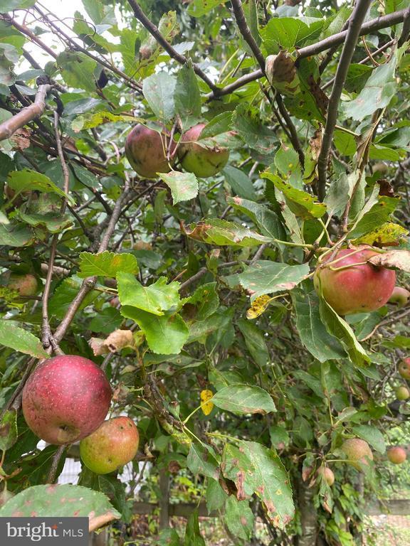 244 South Landing Drive, Milford, DE 19963