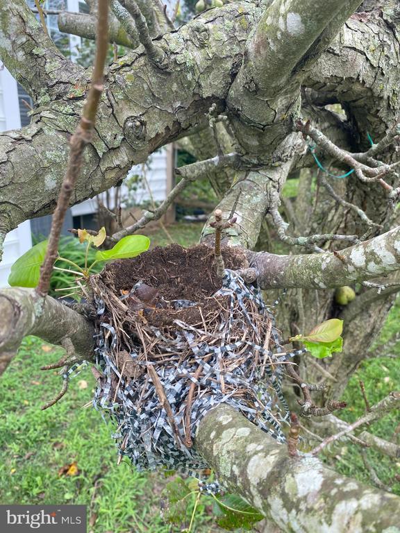 244 South Landing Drive, Milford, DE 19963