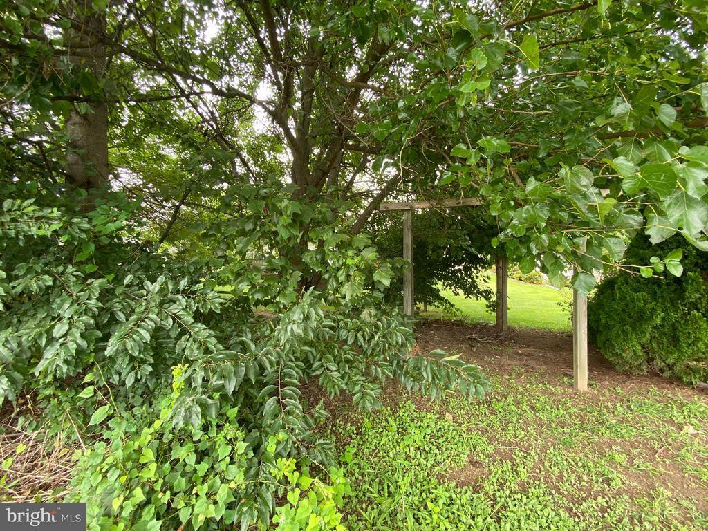 244 South Landing Drive, Milford, DE 19963