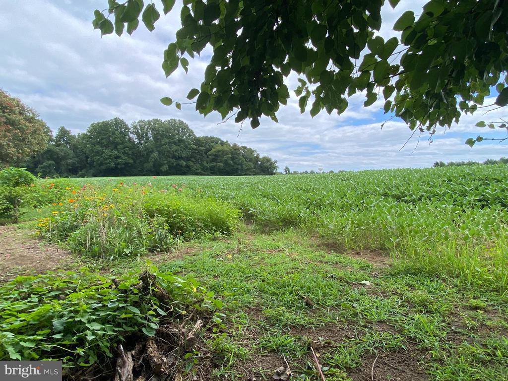 244 South Landing Drive, Milford, DE 19963