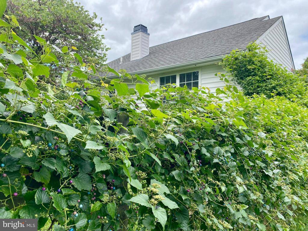 244 South Landing Drive, Milford, DE 19963