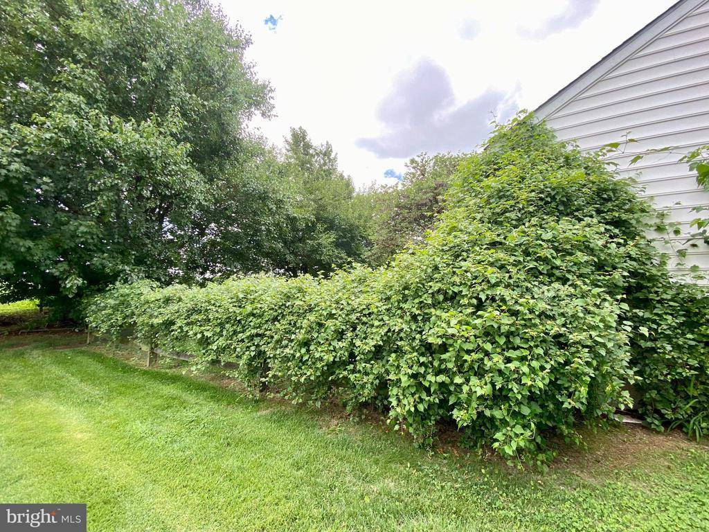 244 South Landing Drive, Milford, DE 19963