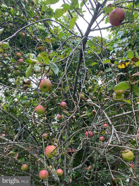 244 South Landing Drive, Milford, DE 19963