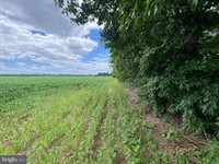 244 South Landing Drive, Milford, DE 19963