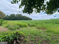 244 South Landing Drive, Milford, DE 19963