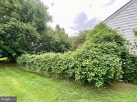 244 South Landing Drive, Milford, DE 19963