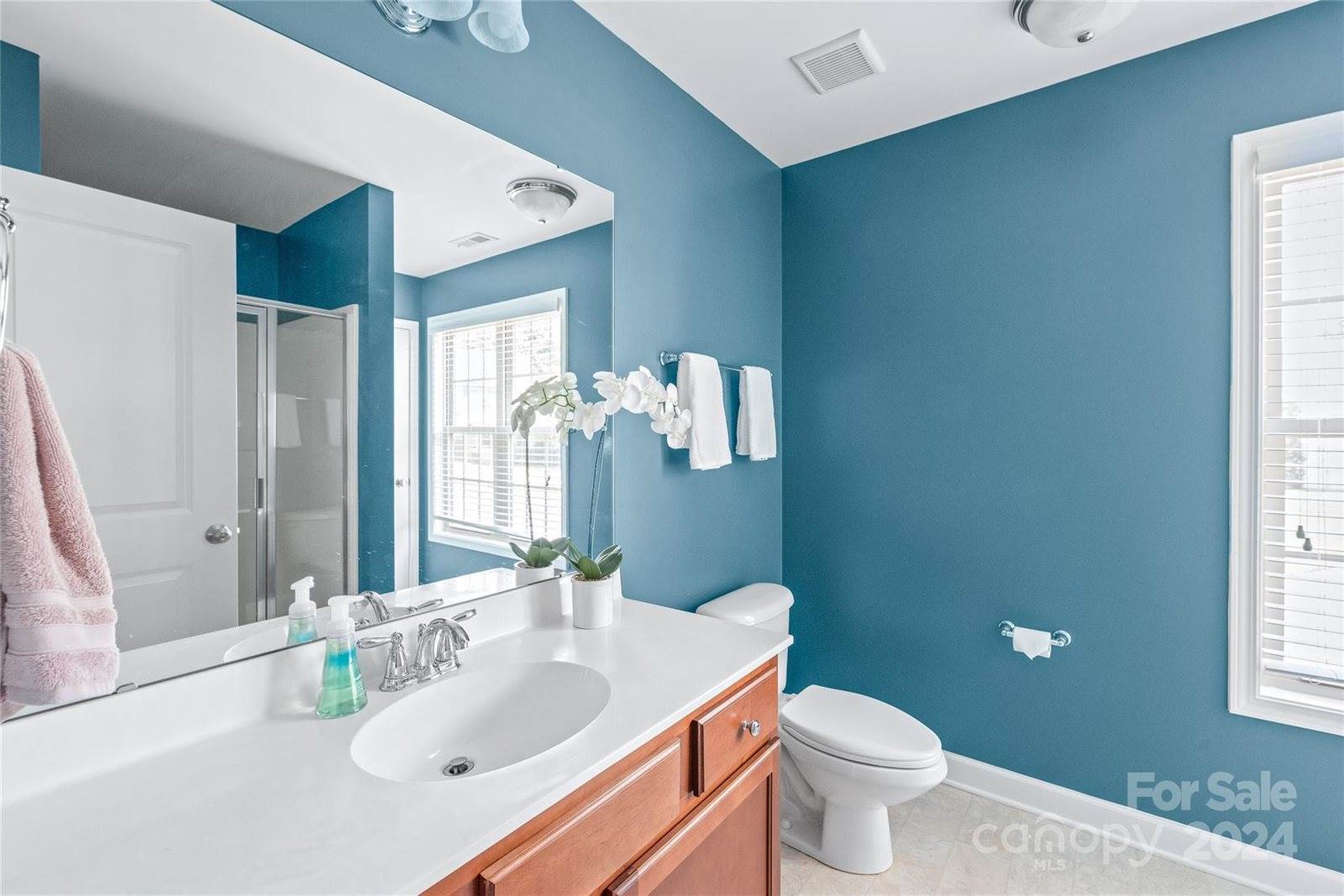 15000 Deville Court, Indian Land, SC 29707