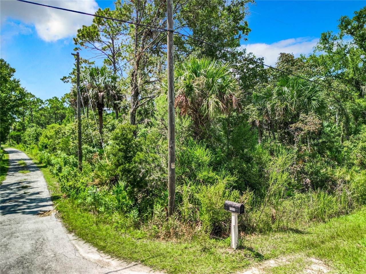 1038 S Candlenut Avenue, Homosassa, FL 34448