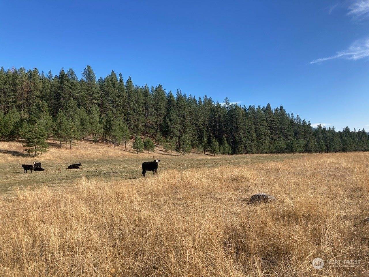 0 (Lot 2) NW NE, Tonasket, WA 98855