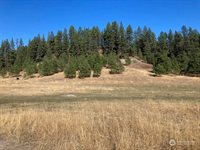 0 (Lot 2) NW NE, Tonasket, WA 98855