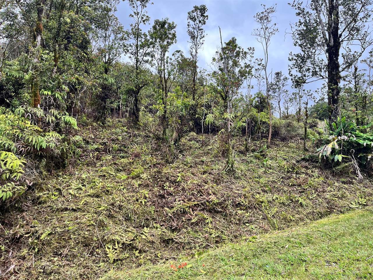 Haumalu St, Mountain View, HI 96771