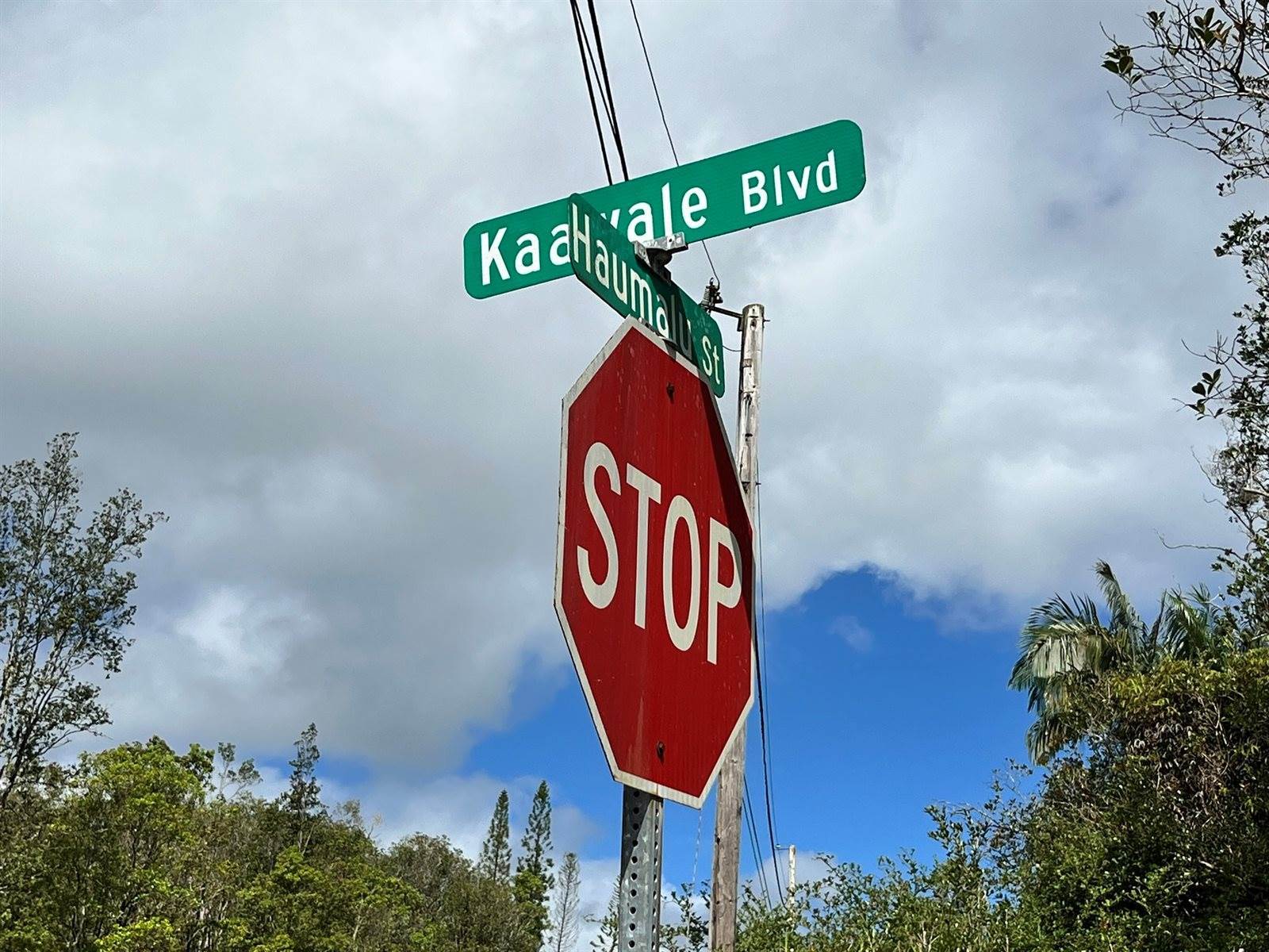 Haumalu St, Mountain View, HI 96771