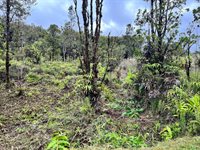 Haumalu St, Mountain View, HI 96771