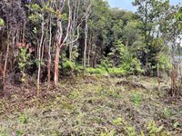 Haumalu St, Mountain View, HI 96771