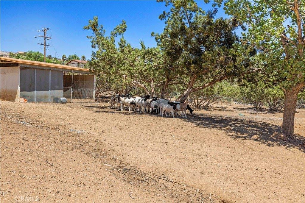 6324 Quail Road, Agua Dulce, CA 91390