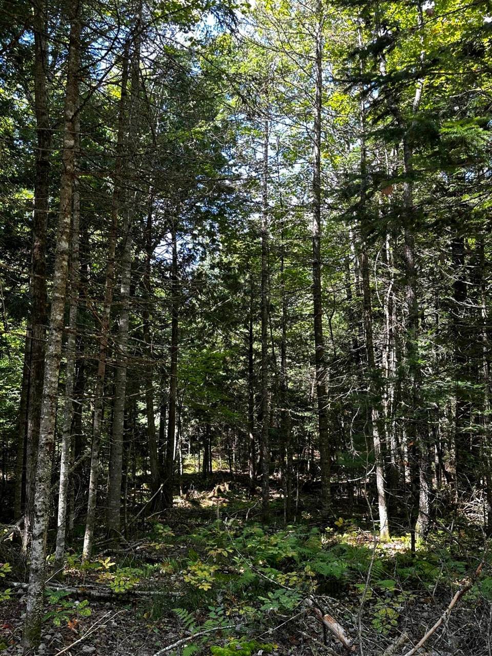 0 Norton Hill Rd, Dover Foxcroft, ME 04426