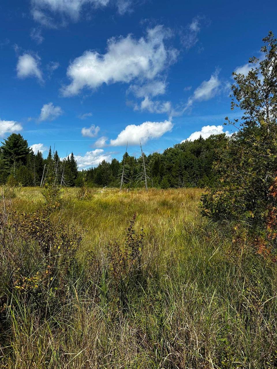 0 Norton Hill Rd, Dover Foxcroft, ME 04426