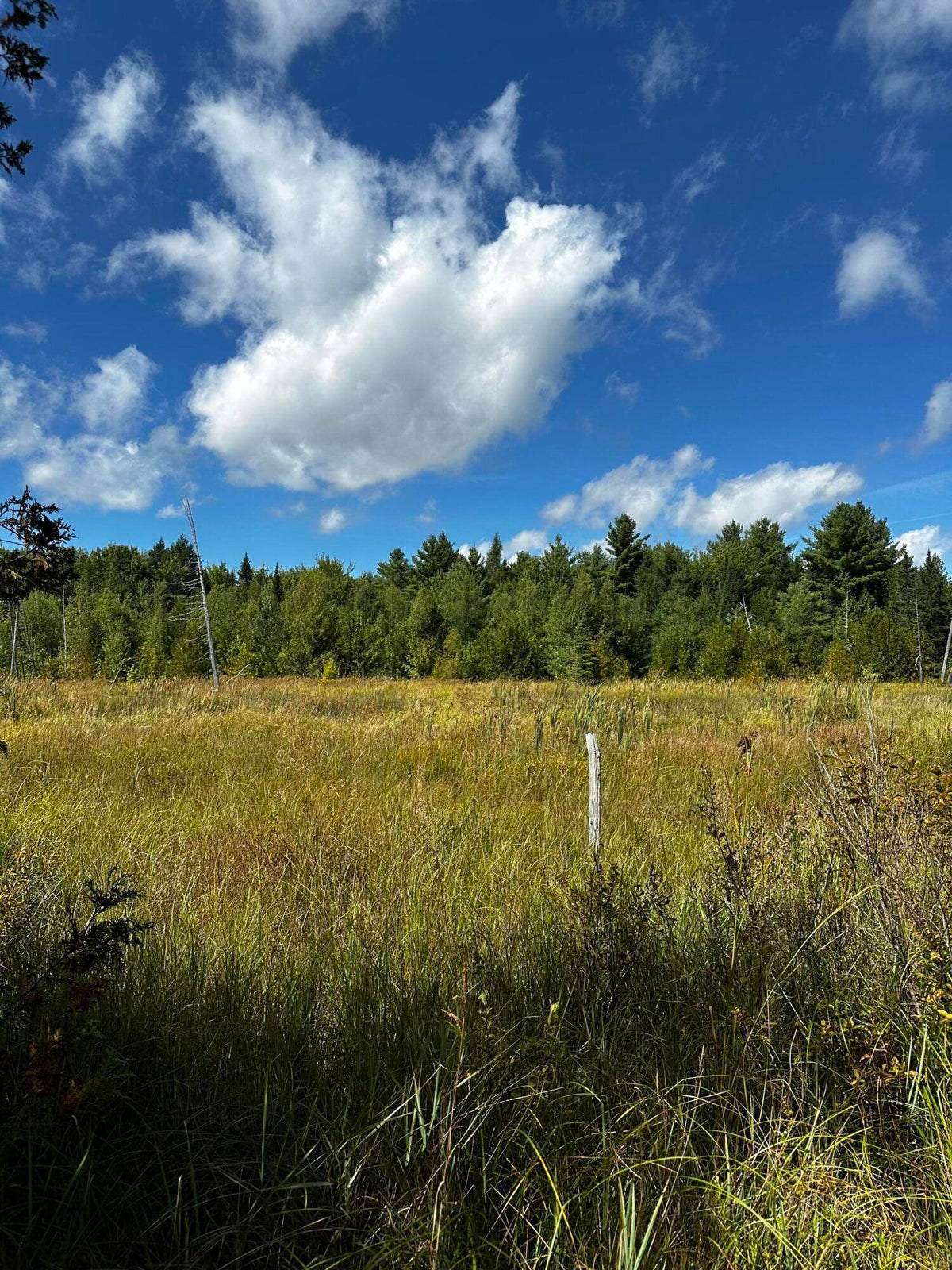 0 Norton Hill Rd, Dover Foxcroft, ME 04426