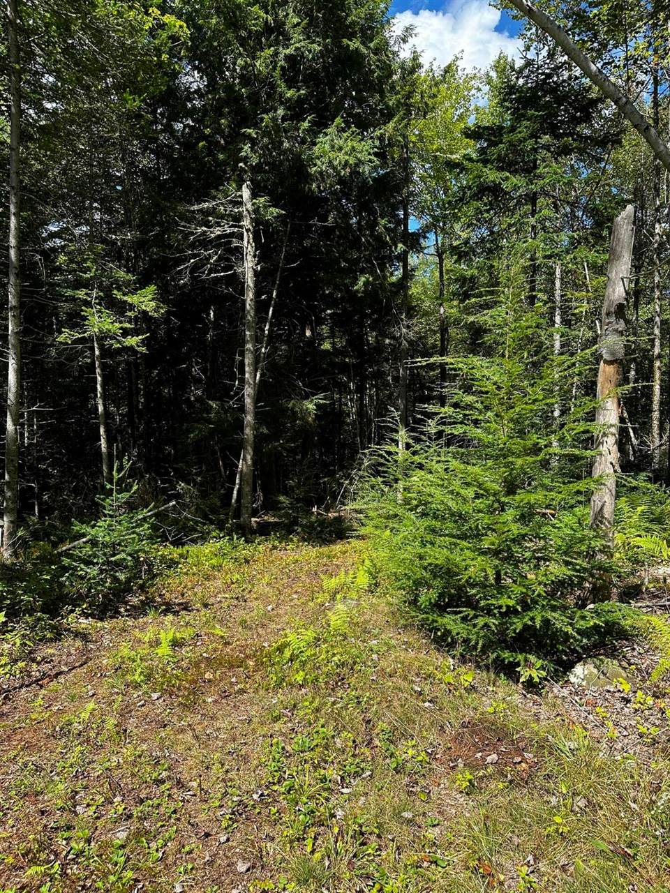 0 Norton Hill Rd, Dover Foxcroft, ME 04426