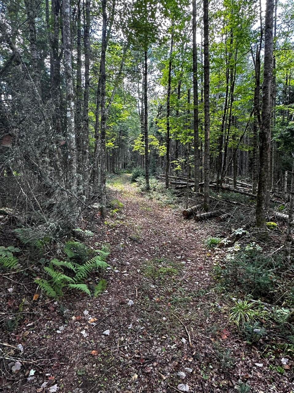 0 Norton Hill Rd, Dover Foxcroft, ME 04426