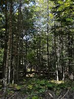 0 Norton Hill Rd, Dover Foxcroft, ME 04426