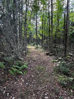 0 Norton Hill Rd, Dover Foxcroft, ME 04426