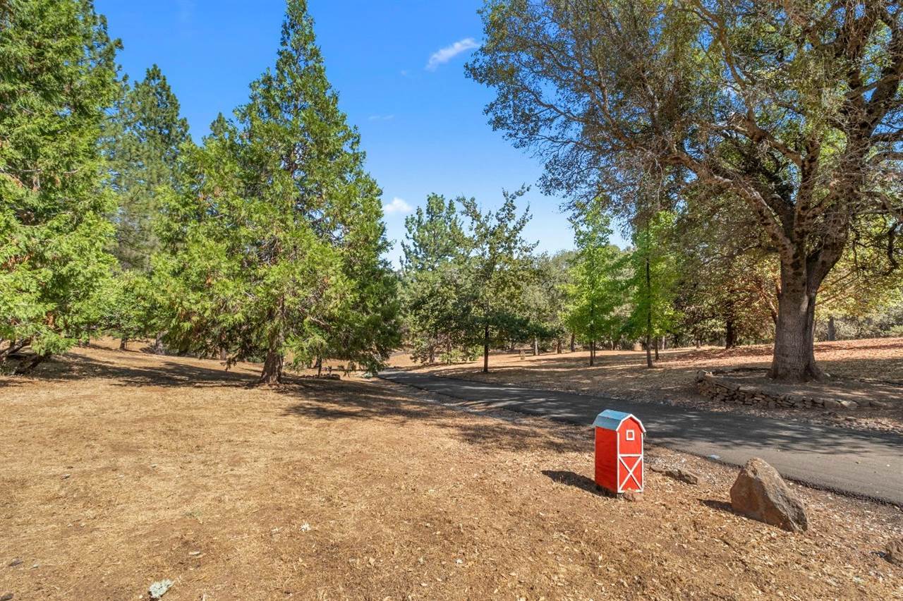 14001 Surrey Junction Lane, Sutter Creek, CA 95685