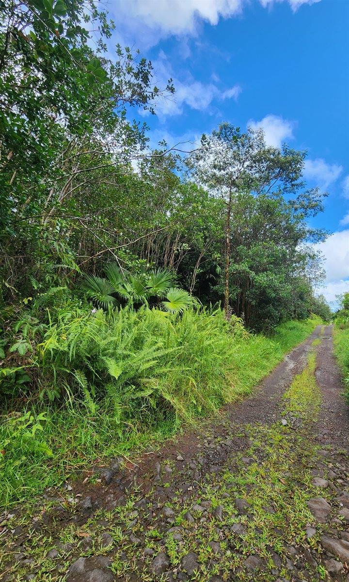 Road 9 (Koloa Maoli), Mountain View, HI 96760