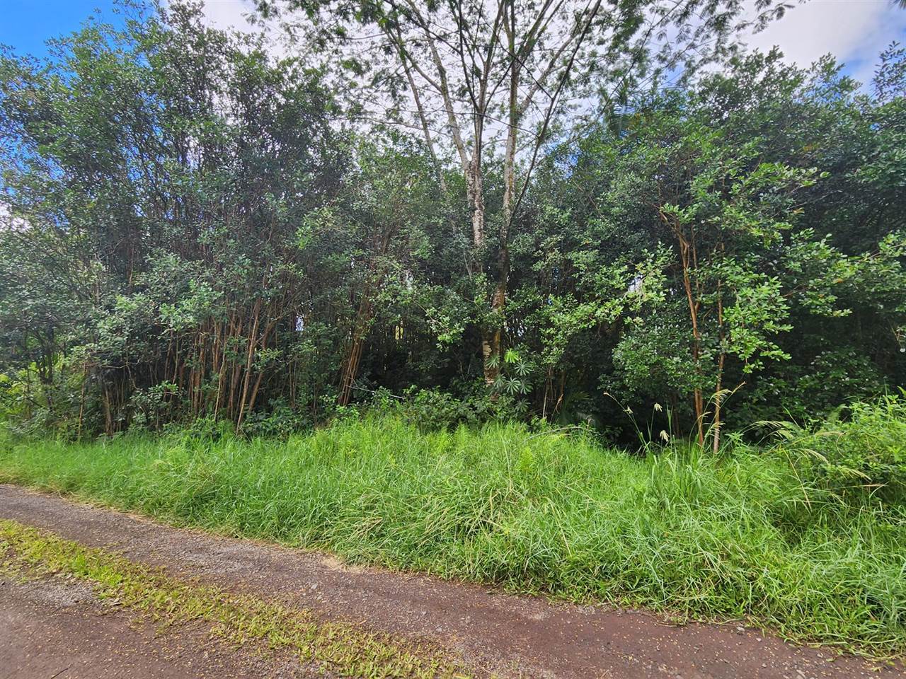 Road 9 (Koloa Maoli), Mountain View, HI 96760