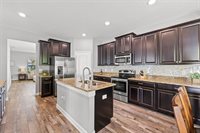 18984 Lutterworth Court, Land O Lakes, FL 34638