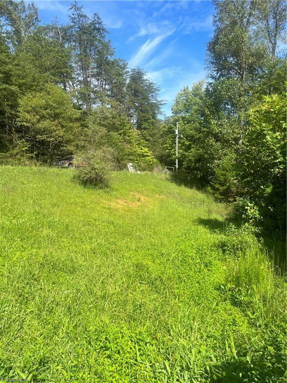 1046 Walsh Way, Sandy Ridge, NC 27046