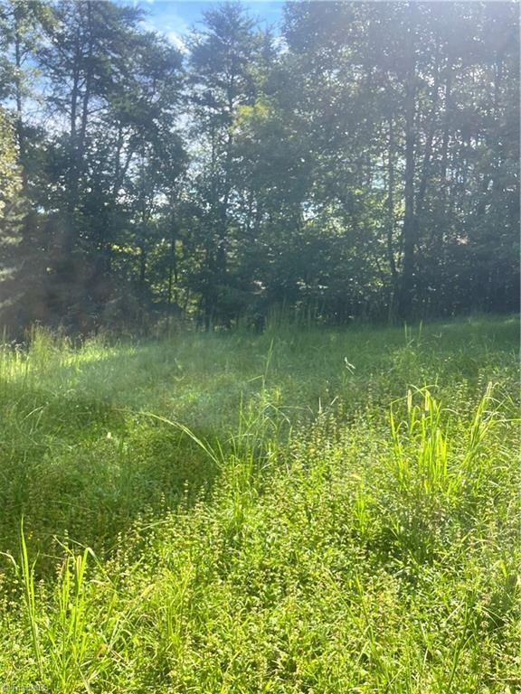 1046 Walsh Way, Sandy Ridge, NC 27046