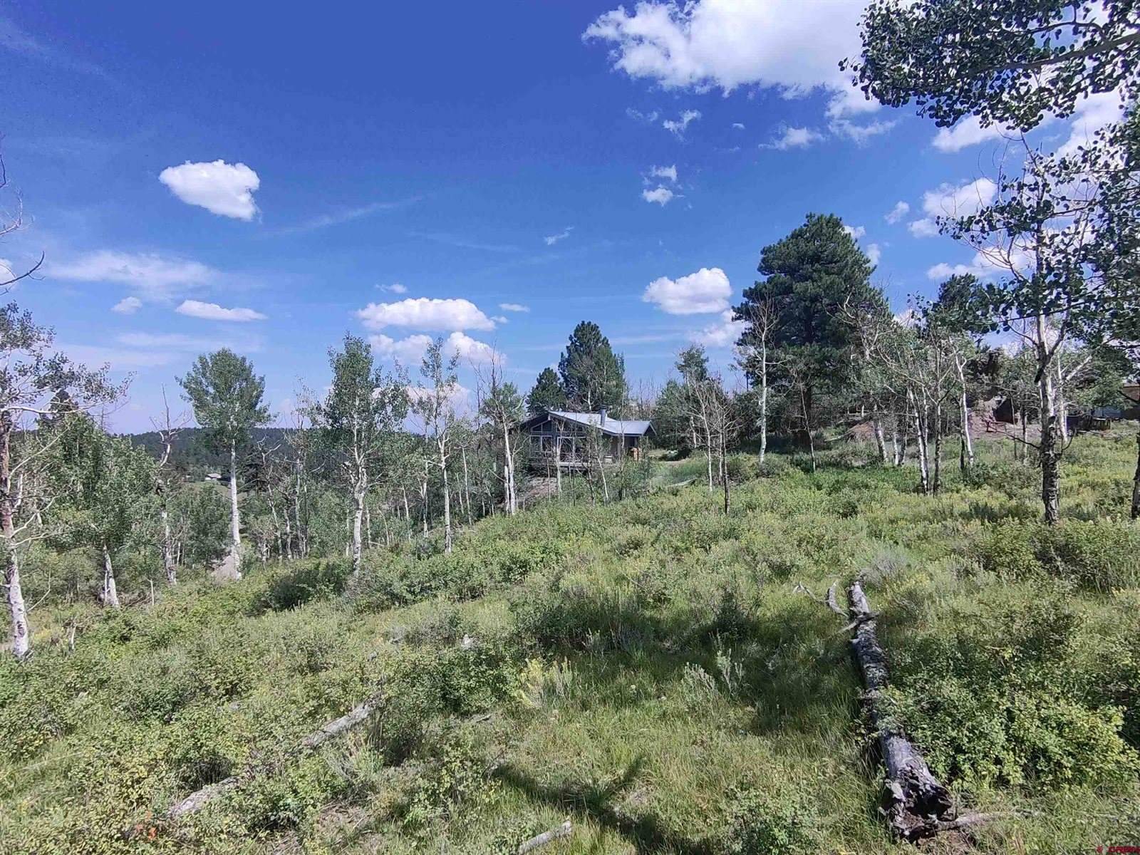 2640 Aspen Drive, Ridgway, CO 81432