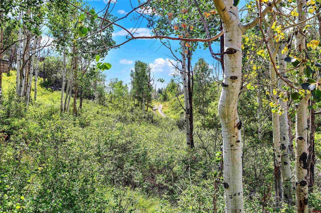 2640 Aspen Drive, Ridgway, CO 81432