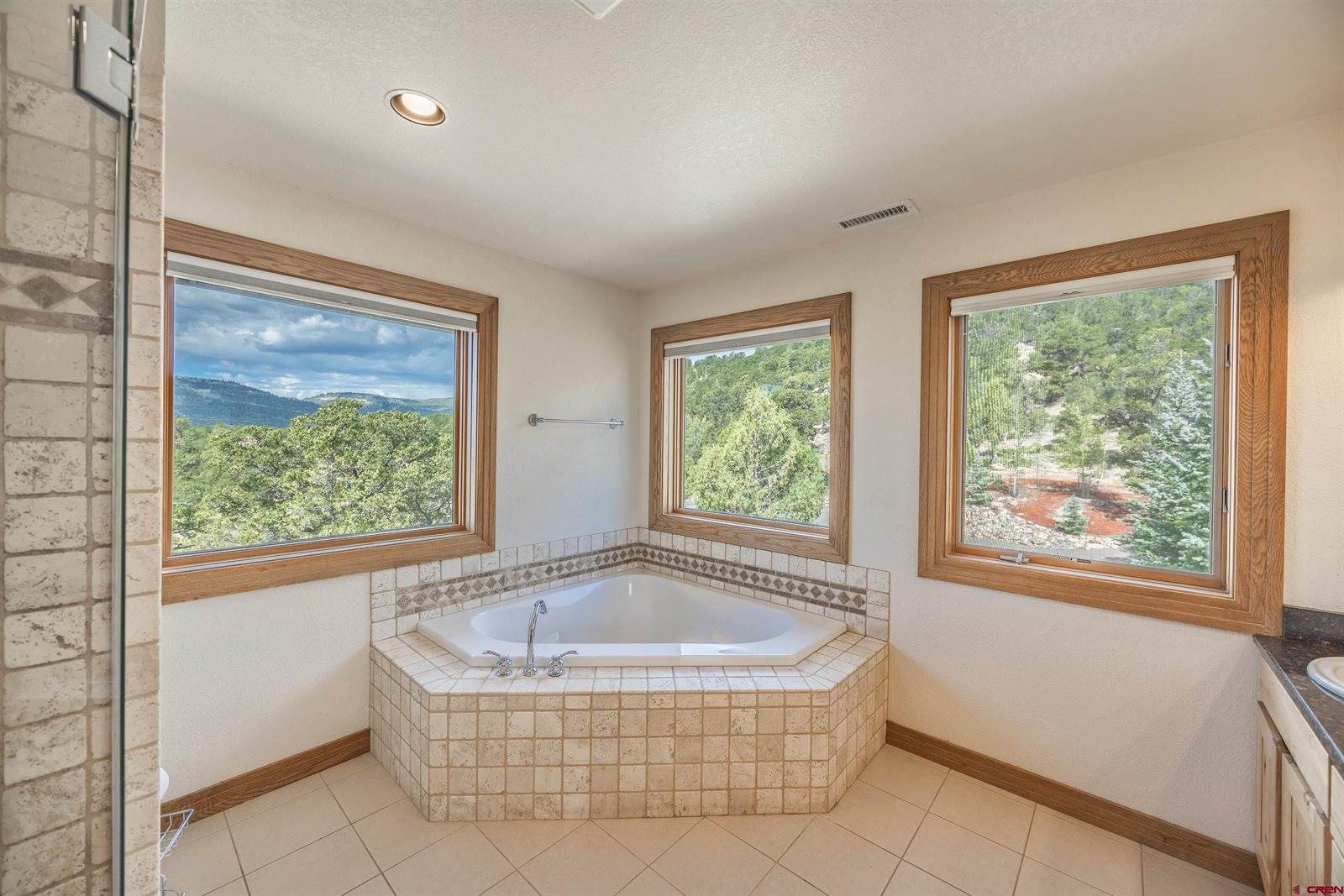 411 Pleasant Valley Drive, Ridgway, CO 81432