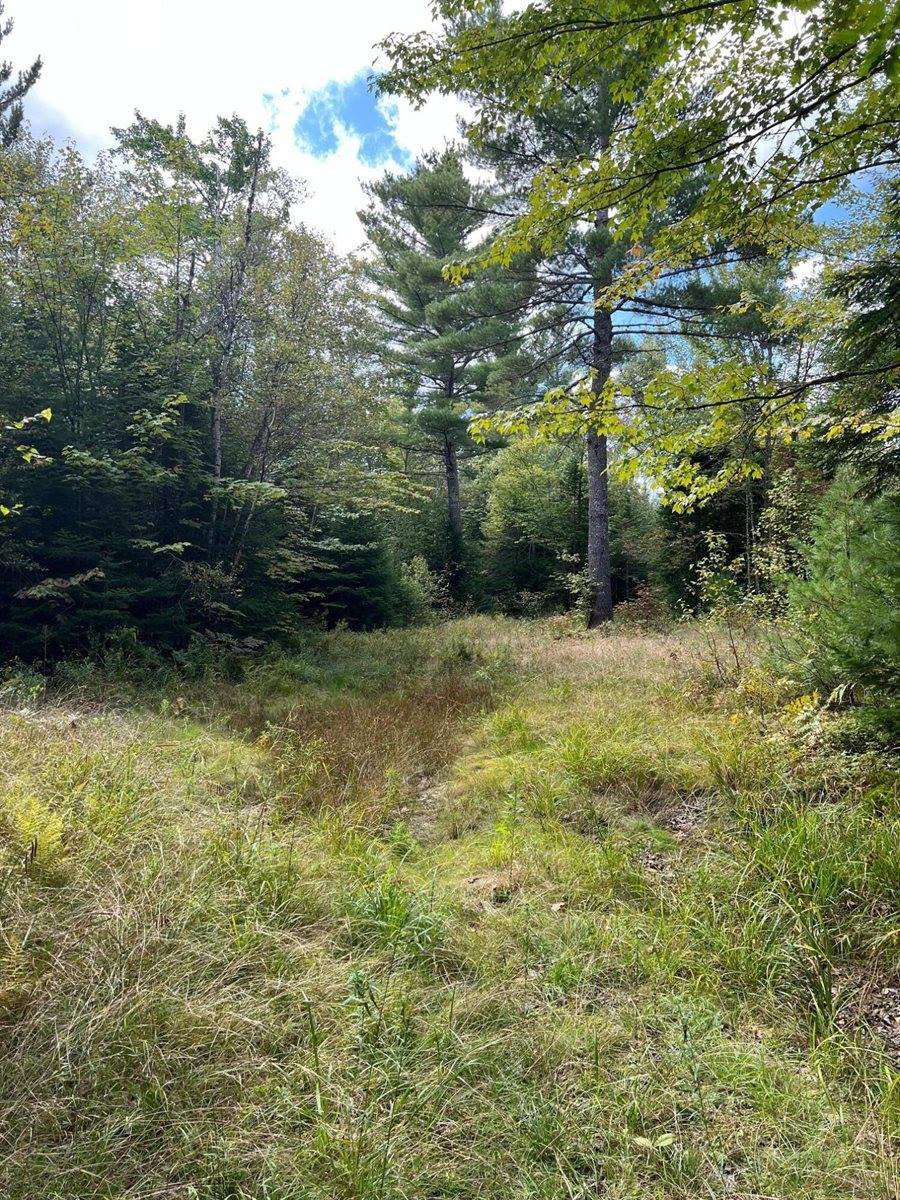 Lot 7 Degerstrom Road, Monson, ME 04464