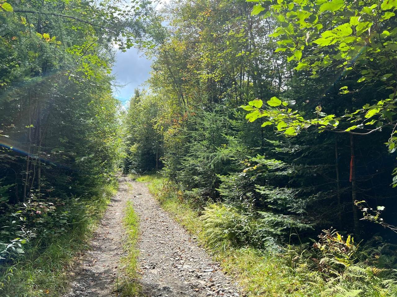 Lot 7 Degerstrom Road, Monson, ME 04464